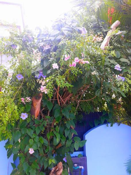 Pousada Los Casarones Florianópolis Zewnętrze zdjęcie